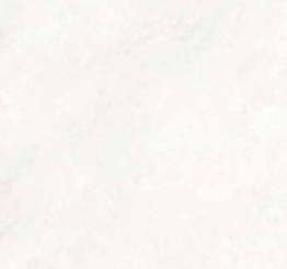 Arena White